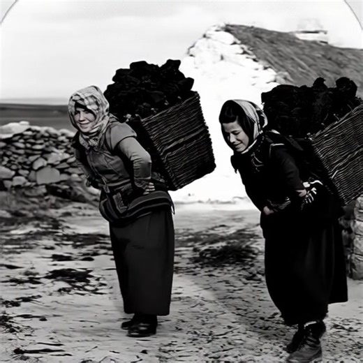 Strong women hauling turf, Dooagh village on Achill Island, County Mayo, 1903... —women who labored from sunrise to sunset, who bore and raised big families, who endured the loss of little ones to illness and starvation, who saw their grown children leave for distant shores, who toiled in the fields, tended animals, lugged peat, and on and on it went... we owe our very existence to them, because without resilient Irish women such as these, none of us would be around now. | Irelands past in Motio