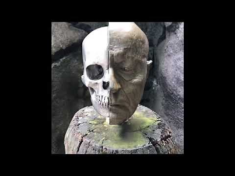 A comparison of human, chimpanzee and gorilla skulls
