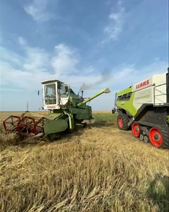 Săptămâna trecută, LEXION 8800 TT a întâlnit la recoltat un bătrân și bun prieten, în vârstă de 53 de ani, cunoscut sub numele de CLAAS PROTECTOR. Este uimitor să compari diferența dintre utilaje și cum a evoluat tehnologia în 50 de ani: - lățimea hederului - de la 3,00 m la 13,80 m - bătător - de la 450 mm la 755 mm - puterea motorului - de la 72 CP la 700 CP - buncărul - de la 2000 l la 18000 l Este fascinant să vezi fiabilitatea utilajelor CLAAS! #lexiondemotourromania2023 continuă ...Vă mulț
