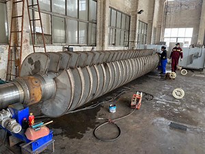 [Hot Item] Low Energy Consumption Paste, Slurry, Sludge, Powder, Sludge Shaft Rotary Rake Paddle Hollow Blade Paddle Dryer