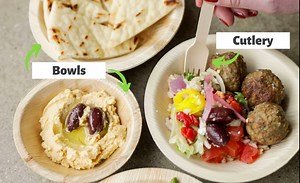 Plantry (SellSage) Natural Biodegradable Palm Leaf Bowl - Pack of 20, Soak Free 100% Compostable like bamboo better than paper (Deep 5 inch)