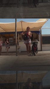 Hot day calls for a beach trip! These adorable #dogs in #Italy's #Rome are enjoying a refreshing escape from the scorching temperatures, taking a dip to cool off. | Radar Africa | Facebook