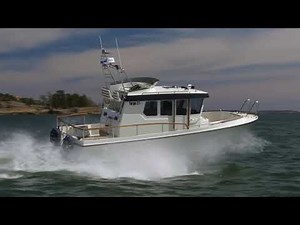 Nettivenecom Targa272