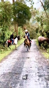 Grupo laberinto 👌🏻🐎🐎 | Gilberto Martinez