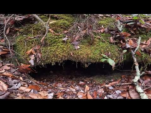 Inside a Harlan County Coal Mine