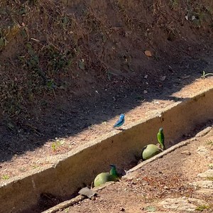 Daniella Sarahyba on Instagram: "Na Serra, Com amor 🩷🙏🌸🍃"