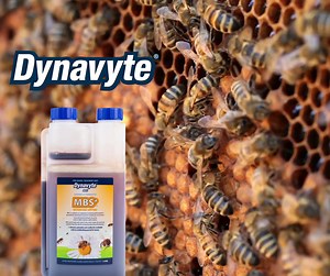 Dynavyte MBS is a unique liquid product that combines prebiotics and probiotics, creating a synbiotic solution (yes you have all heard of it!). 🐝 Hives: Dynavyte Bees MBS promotes overall hive strength and vitality. 🐝 Honeybees: The product supports the growth of honeybee populations within a colony. 🐝 Effective Pollination: Healthy colonies become more efficient pollinators, benefiting the environment and crops. 🐝 Honey (18% Increase): It claims to boost honey production by 18%, suggesting 