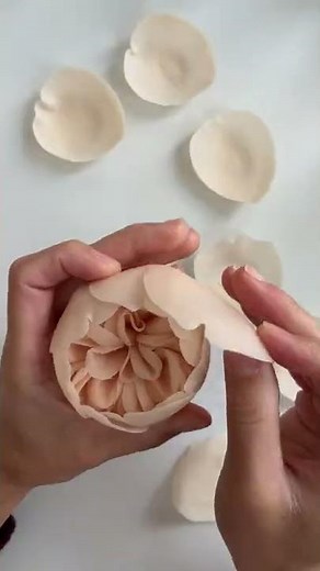 David Austin Sugar Roses ⎸ Juliet Gumpaste Rose ⎸ #Shorts #Youtubeshorts