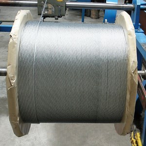 [Hot Item] Premium 6X19s Galvanized Steel Wire Rope for Motorcycles