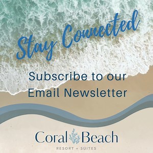 If you haven't already, take a moment to subscribe to our email newsletter so you can keep up to date with special offers this season! You can find our sign-up on our homepage. | Coral Beach Myrtle Beach
