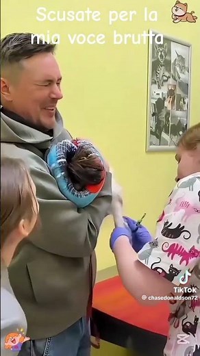 video di cani divertenti (parte 1)