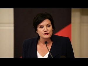NSW Labor leader under fire over reports of 'letter of support' for convicted pedophile
