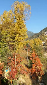 Home town Autumn view #DirUpper #ExploreDir | Kamy Clicks