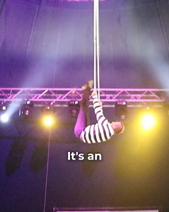 17 reactions |  Peoria, IL  Aug 22 - 25, 2025 @ Exposition Gardens...