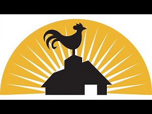 Rooster Crow | Sound Effect (Copyright Free)