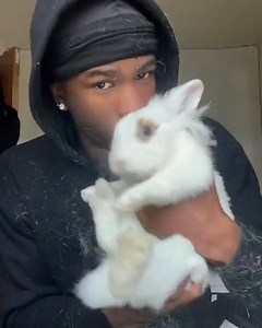 Its raining rabbit! 🐇😄 | Furry Tails