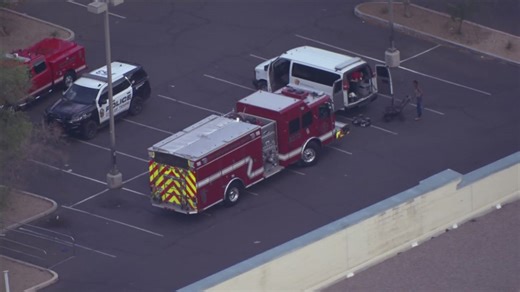 Swarm of bees attacks kids, adult