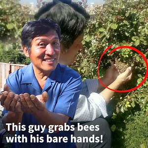 This guy grabs bees with his bare hands! 😱 🐝 | VT