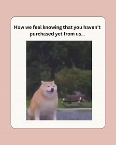 Hello?? Excuse me?? Do we not exist? If so you are missin out on Payday sale and best deals #daraznp #kinausabaidarazmaibestpricemai #daraznepal #paydaysale #discoverdaraz | Daraz Online Shopping