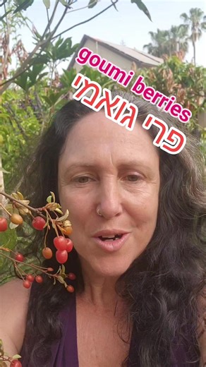 גואמי-goumi berries הוא פרי אדום קטן וטעים, עשיר בנוגדי חמצון וברזל. 🌱 קל לגדל אותו בגינה והוא מושך דבורים וציפורים – תוספת מושלמת גינה ויער מאכל! #יערמאכל #יערבכפר #גינון #גינה #טבע #גינתמאכל #קורסגינון #טבעוני #גידולירקות #פרמקלצר #permaculture #homestead #Homegrown #EdibleGarden #HomesteadLife #garden #gardening #foodsecurity | יער בכפר - יער מאכל וריפוי - food forest