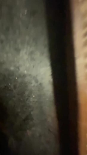 Wood chisel sheath #leather #leatherwork #tools #diy #leathercraft | Tick Creek Ranch