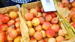 127K views · 3.8K reactions | 21 September 2024 दिल्ली अफगानिस्तान सेब , अंगूर के होलसेल भाव Delhi afganistan apple market price #apple #Price | Delhi Fruit Market | Facebook