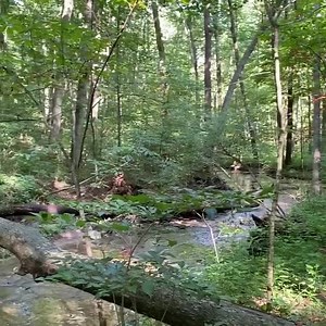 Reflections in Spanish