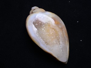 Natural Rare Fossil Snail Druzy Agate Fancy Loose Gemstone | Druzy Gemstone - Etsy Canada