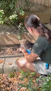 We sure do have some keepers here. Next time you visit us, be sure to thank our animal care staff for all their hard work and dedication! 🫶 #NationalZooKeeperWeek | Audubon Zoo