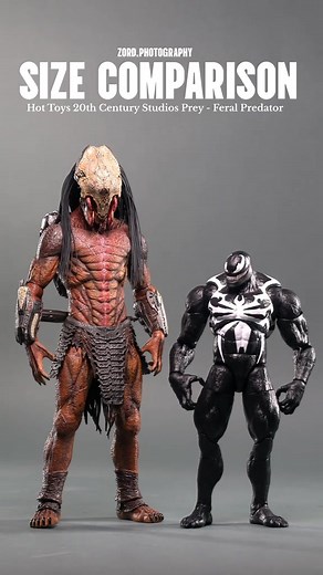 Size Comparison: Hot Toys 20th Century Studios Prey - Feral Predator . #hottoyscollectibles #hottoys #hottoys🔥 #hottoyscollections #prey #preymovie #predator #mafex #marvellegends #inart #inartcollectibles #batman #dune #spiderman #sizecomparison #comparison | Zord Photography