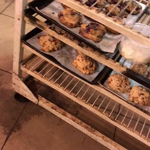 17 reactions · 3 comments | ‪Lafayette Breadman making goodies for you. Stop in for a variety of banana muffins, scones and cinnamon rolls. At the Westside market this afternoon also! ‬ | Great Harvest Bread Co. - Lafayette, IN | Facebook