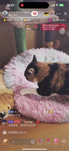 おすすめのアカウント