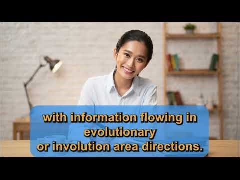 Understanding Socionics A Comprehensive Guide to Personality Types and Intertype Relations