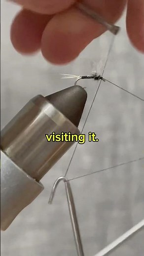 Tying a Trico Spinner #flytying #shorts