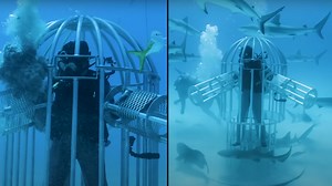 Man covered himself in blood to check if sharks would attack him and the result was terrifying