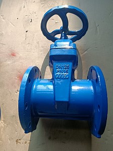 [Hot Item] DIN DN100 DN125 Non Rising Stem EPDM Disc Ductile Iron F4 F5 F7 Gate Valve
