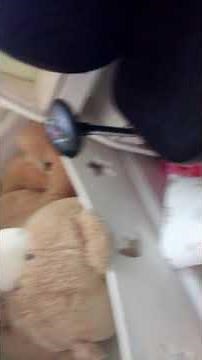 첫 영사 부들부들떨 리는 수간