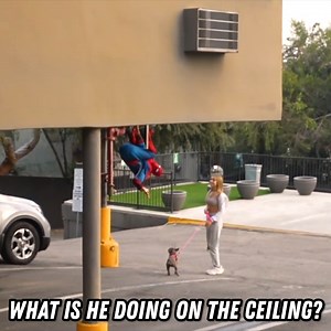 8.3K views · 260 reactions | A Superhero Kissed My Girl... | Lucas and Marcus | Facebook