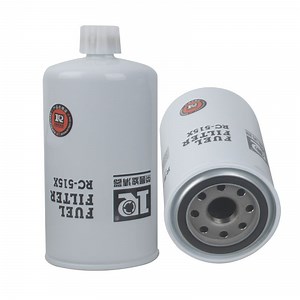 [Hot Item] Jsfils Fuel Filter OEM 3308638 65.12503-5011 Fs1212 400504-00235