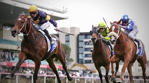 15 reactions | It was all happening at The Valley on Feehan Stakes Day & Racing Photos captured every incredible moment  | Racing.com | Facebook