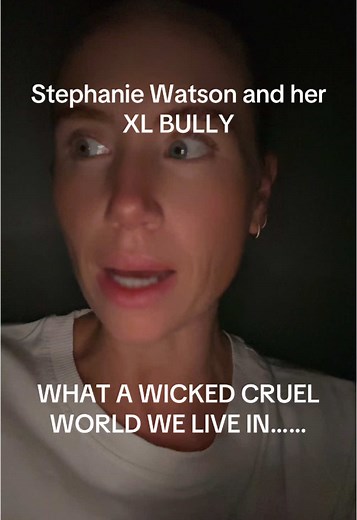 Stephanie Watson's XL Bully Dog Highlights