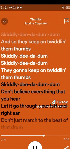 Sabrina Carpenter Thumbs Song Lyrics and Music Video