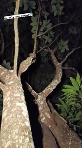 Ti siling ko gid tuko gid! 😬 #reelsfacebook #moments #momentsbeforedisaster | Bern Pastolero Aguilar