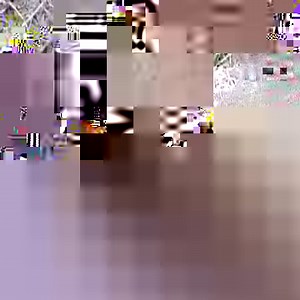 5.3K views · 83 reactions | Awesome !! Snake mating | Bees Reels | Facebook