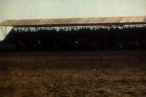 Courtesy of the Borge family. Henry Borge was a physician in Wolf Point. He shot 16 mm color video of the parade and the stampede. The vehicles would date this video about 1953. Enjoy. | Wolf Point Area Museum
