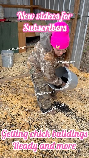 16K views · 300 reactions | New videos for subscribers getting chick  building’s ready and more #hawaiianrooster #galleras #gamefowls #gamefowlbreeder #gallofina #gallofino #boneyardfarm | Boneyard farm | Facebook