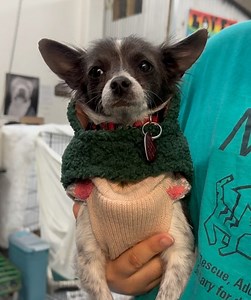 2K views · 11 reactions | Milo Foundation on Reels | Facebook