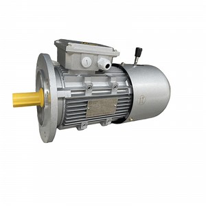 [Hot Item] Durable High-Efficiency 3HP Aluminium Brake Motor for Geared Systems
