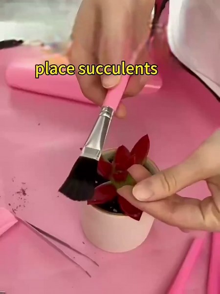 Garden Tools Set, Complete Garden Tool Kit Comes with Bag and Gloves, Gardening Supplies Tool Set Gardening for Beginners Tool for Women Gardening Gifts for Women Indoor Garden Gardening Tools