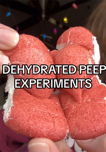 experimenting with DEHYDRATED PEEPS 🫪🫪🫪.... which monstrosity was your favorite..?🙏 #peeps #dehydratedpeeps #stalepeeps #asmr #glutenfreeeats @peepsbrand